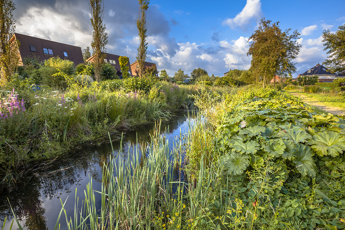 Ecological Drainage canal